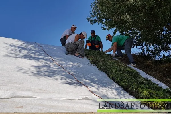 Alpinariumų įrengimas