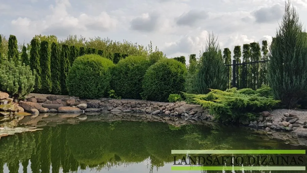 Tvenkinys su akmenimis ir rutulio formos tujomis