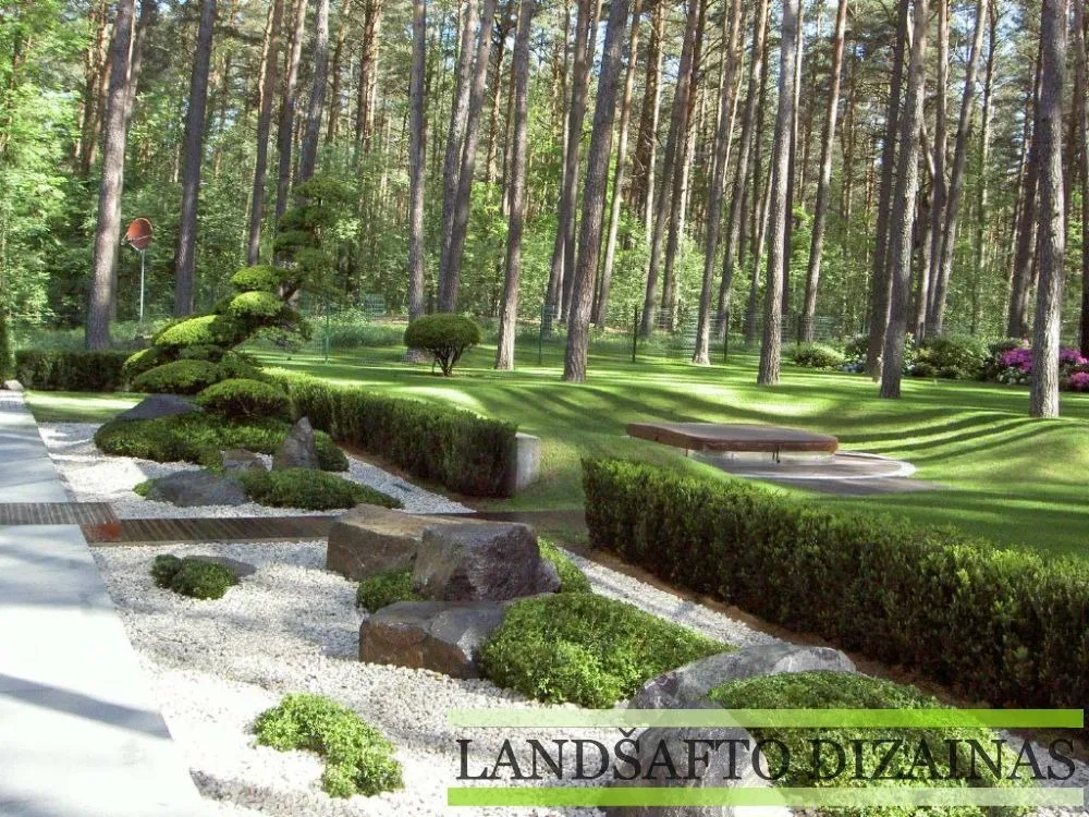 Formuotų augalų ir baltos skaldos juostos pušyne