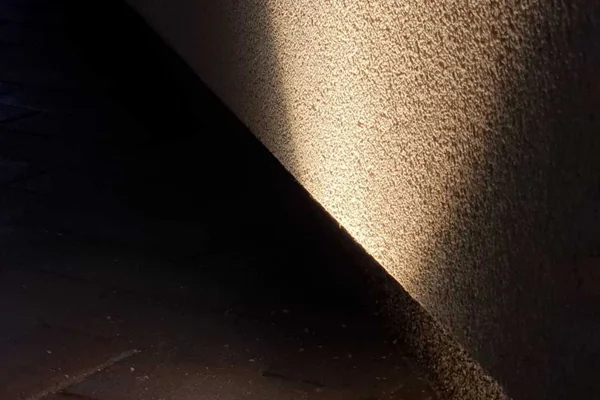 12V LED sodo apsvietimo sistema — profesionalus montavimas