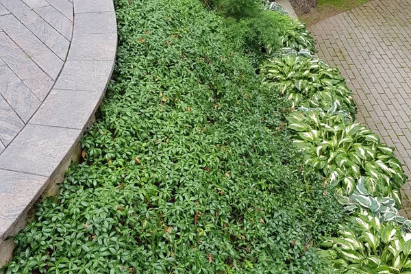 Šlaitų sutvarkymas