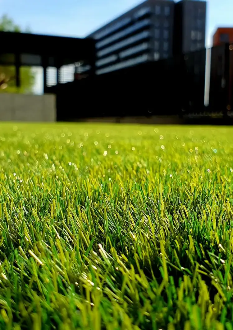 Landšafto dizainas - profesionalus apželdinimas Vilniuje
