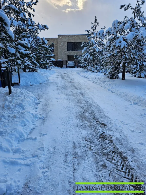 Mini krautuvu nuvalytas privažiavimas tarp pušų iki namo vartų