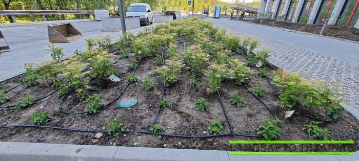 Kapiliarinis-laistymo-vamzdis-Business-Garden-Vilnius